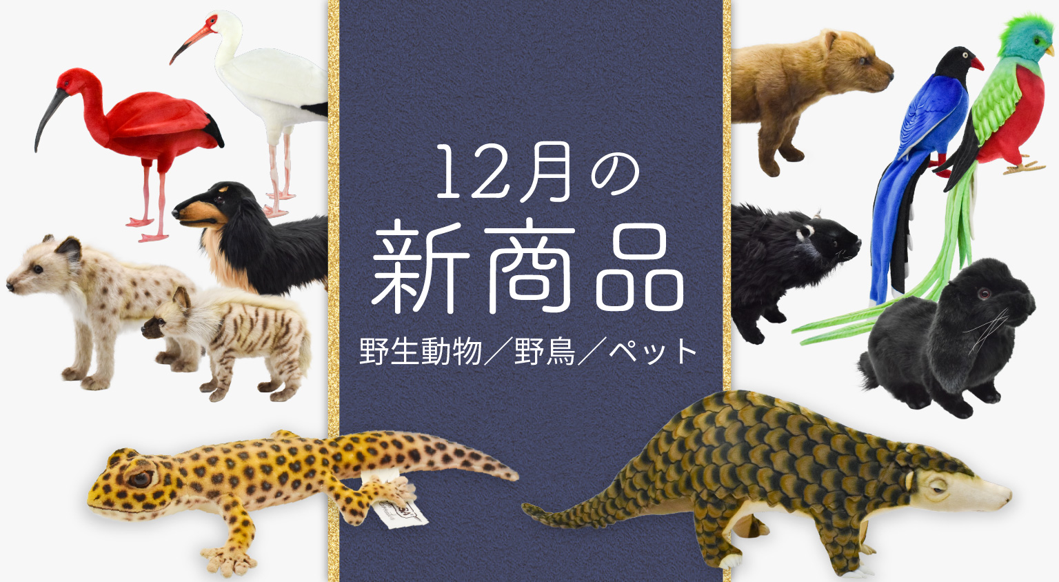 特設ページ