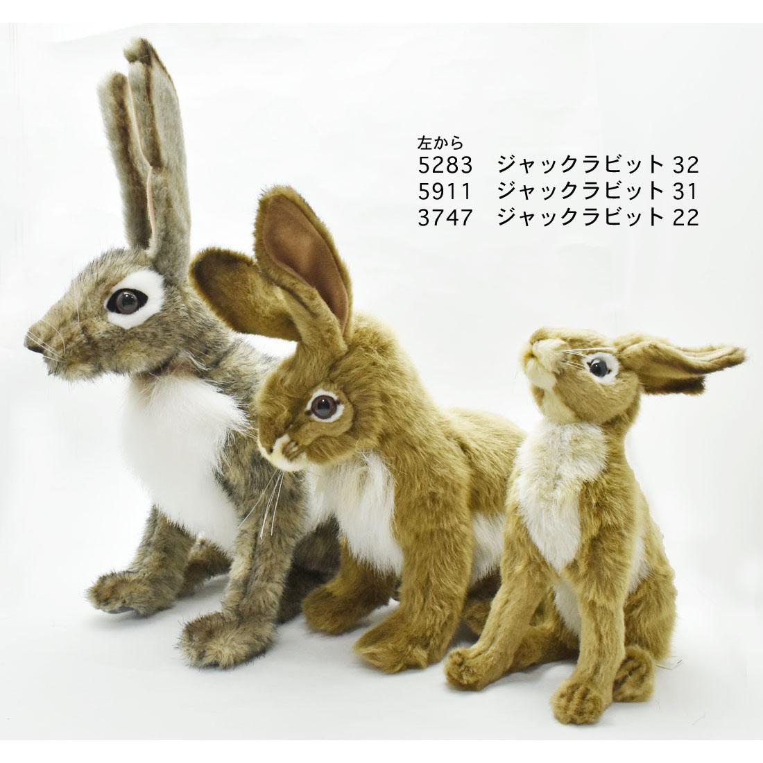 hansa jack rabbit