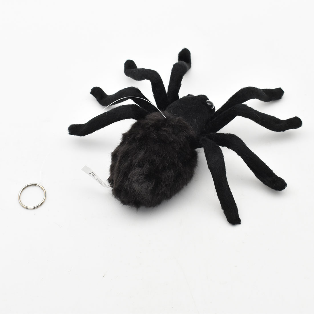 ブラックタランチュラ 21 Hansa