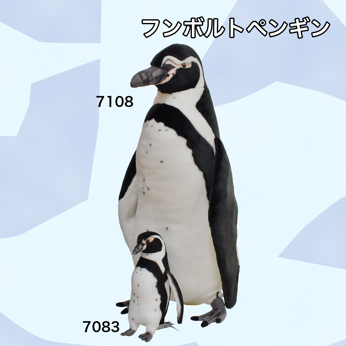 フンボルトペンギン 23 | HANSA