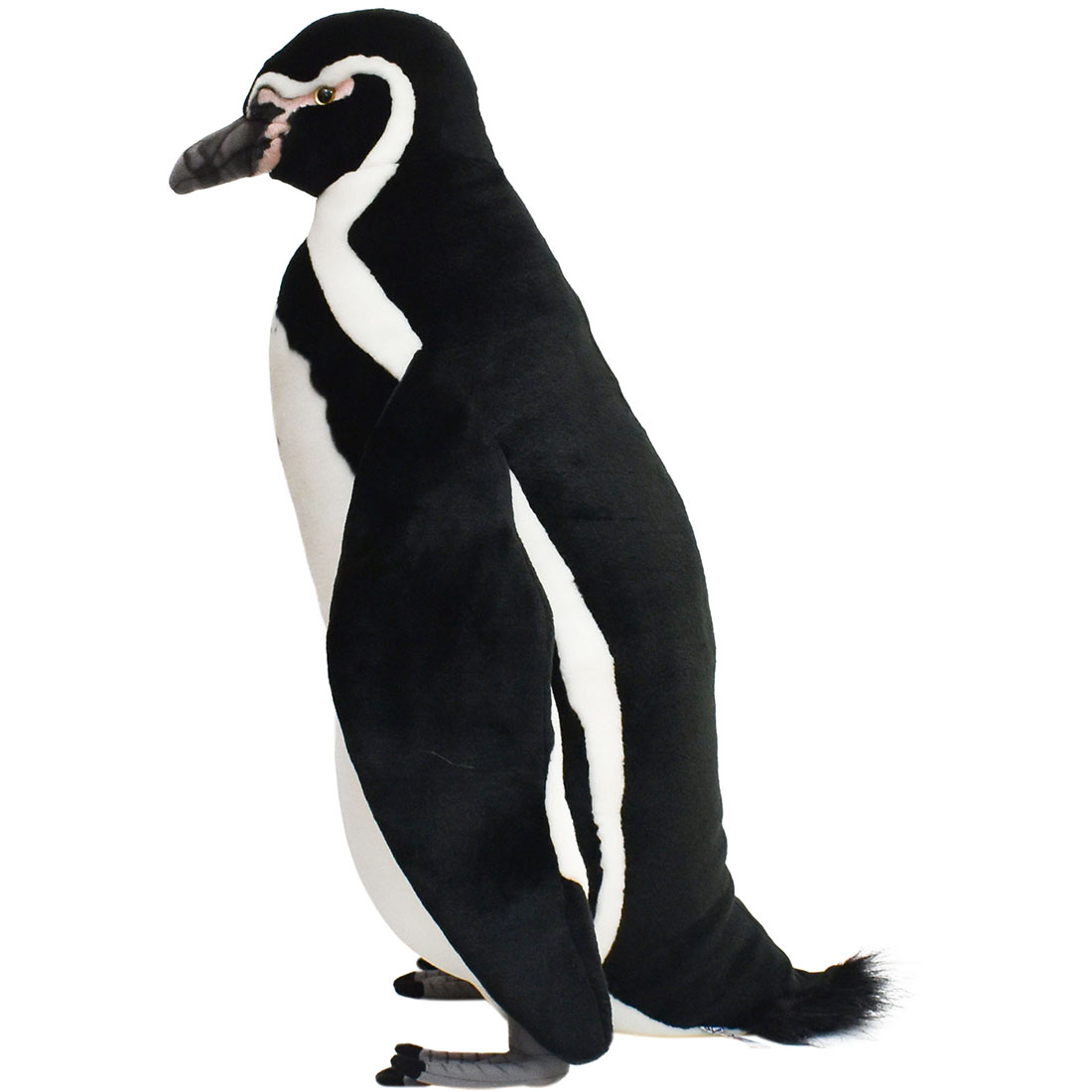 フンボルトペンギン 66 | HANSA