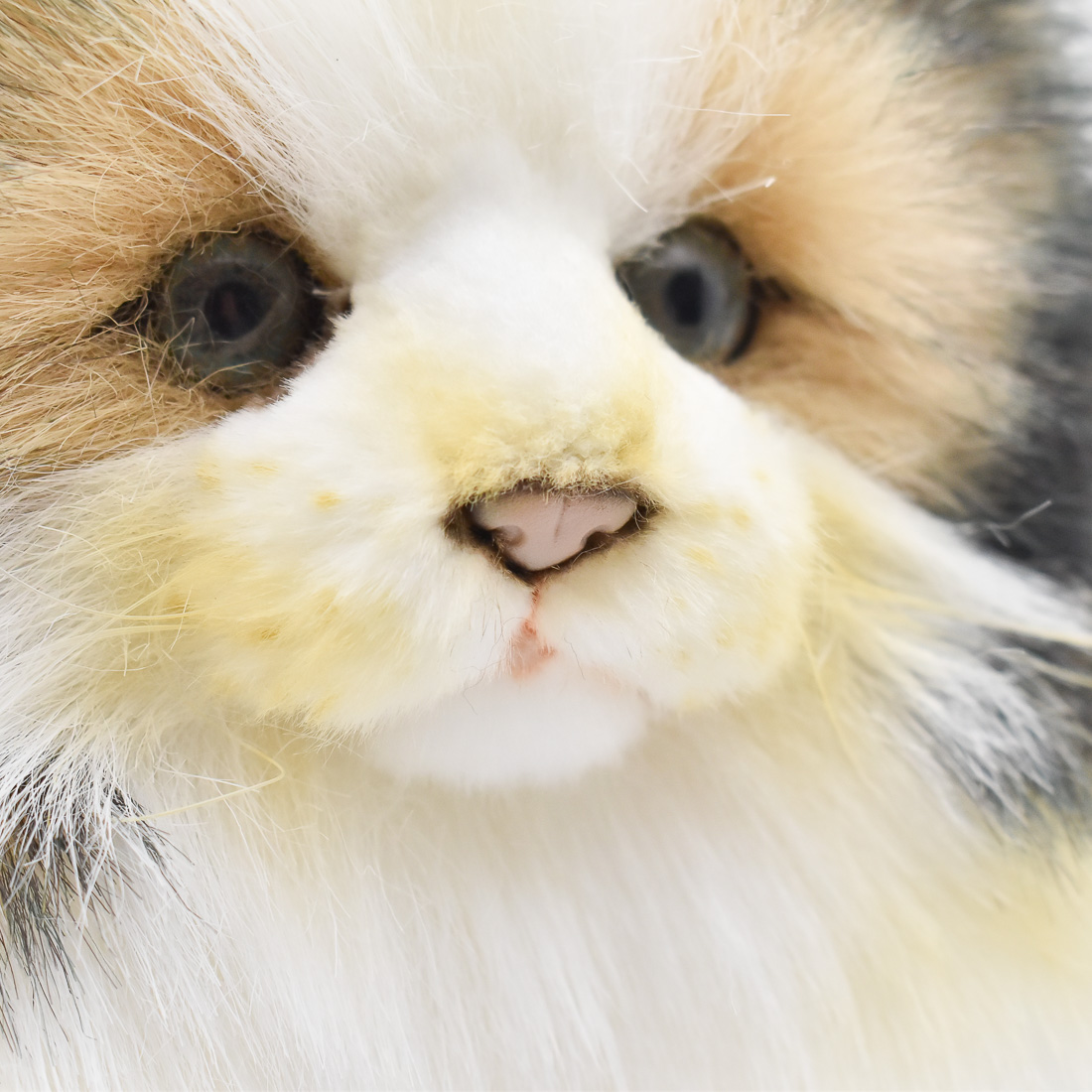 置物 動物 可愛い 猫の ぬいぐるみ ノルウェージャンフォレスト