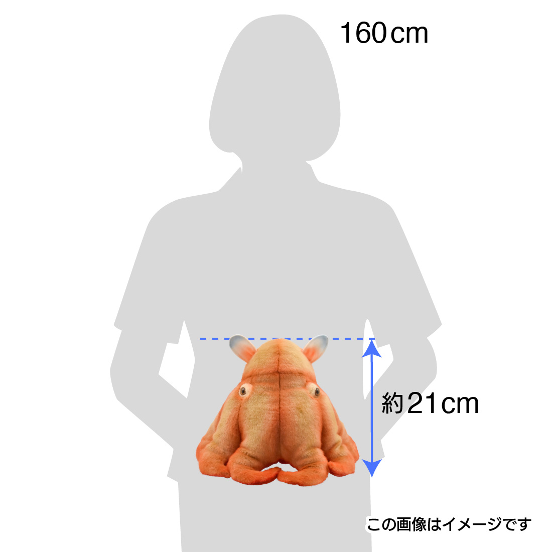 Amazon.co.jp: しんかいさん メンダコ ぬいぐるみストラップ