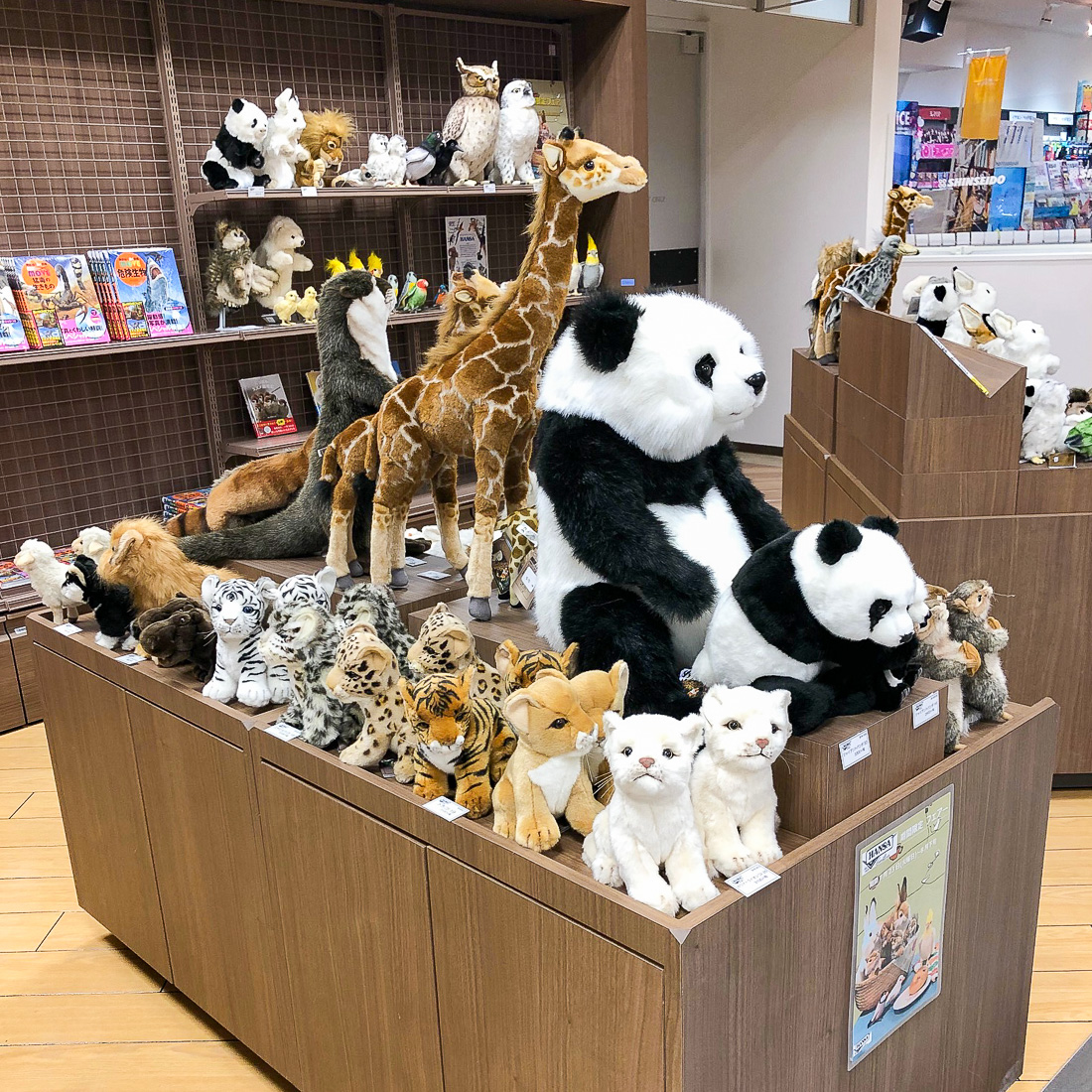 お知らせ詳細 | HANSA