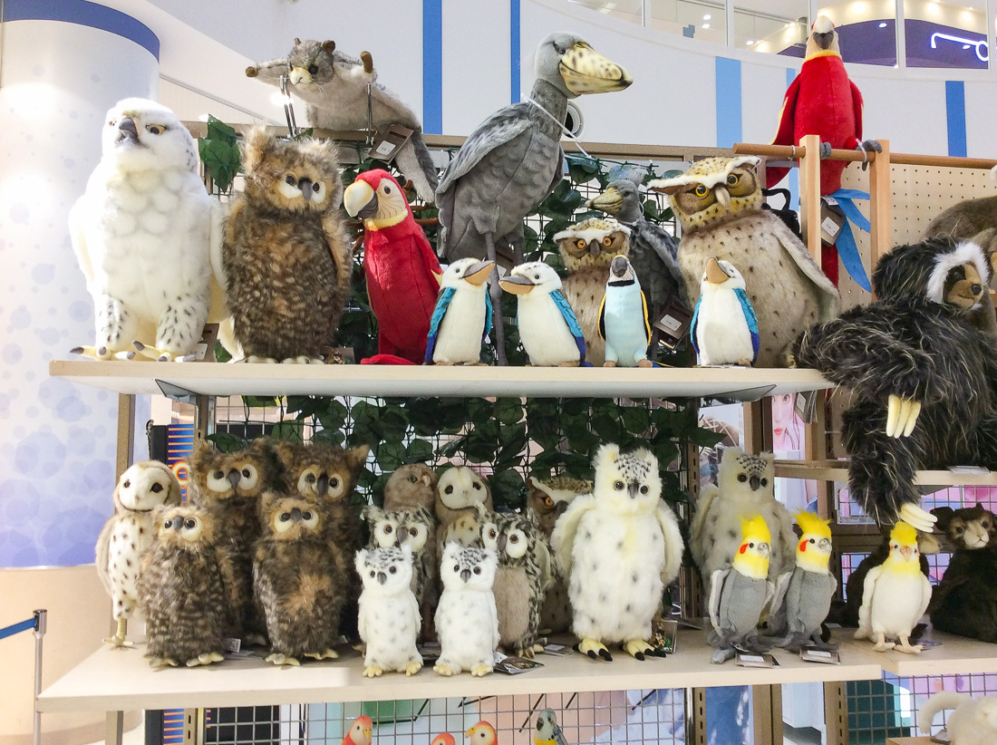 お知らせ詳細 | HANSA