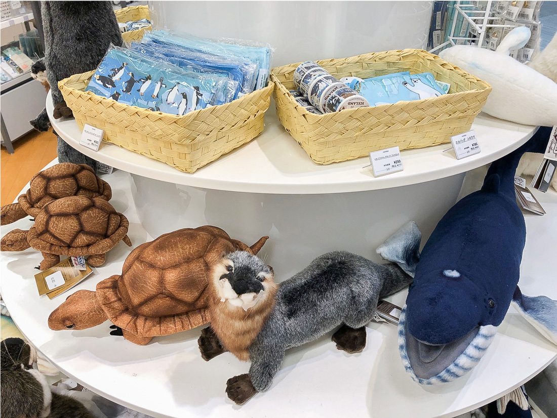 お知らせ詳細 | HANSA