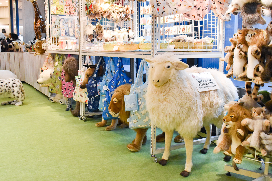 お知らせ詳細 Hansa