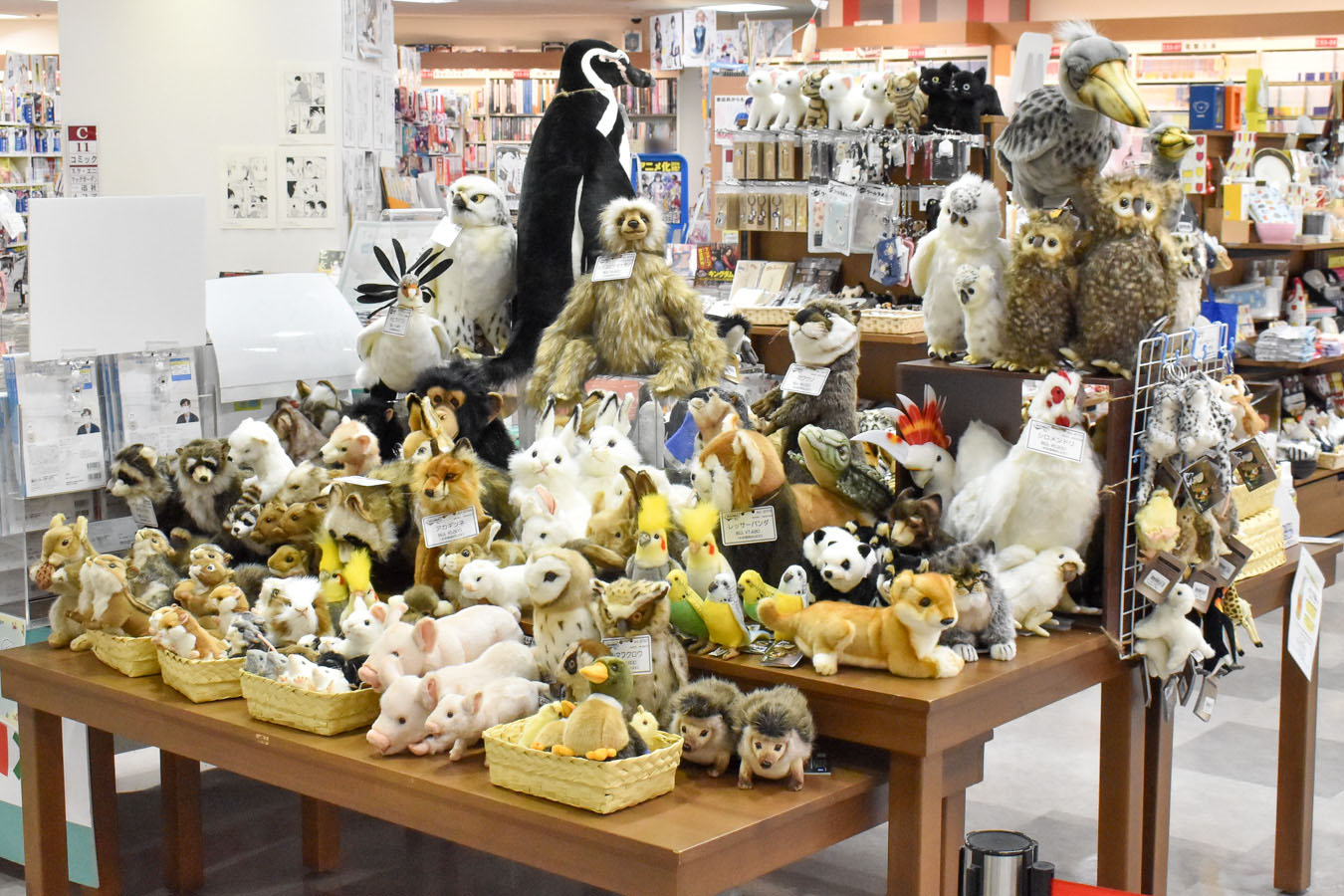 三省堂 書店 海老名 店