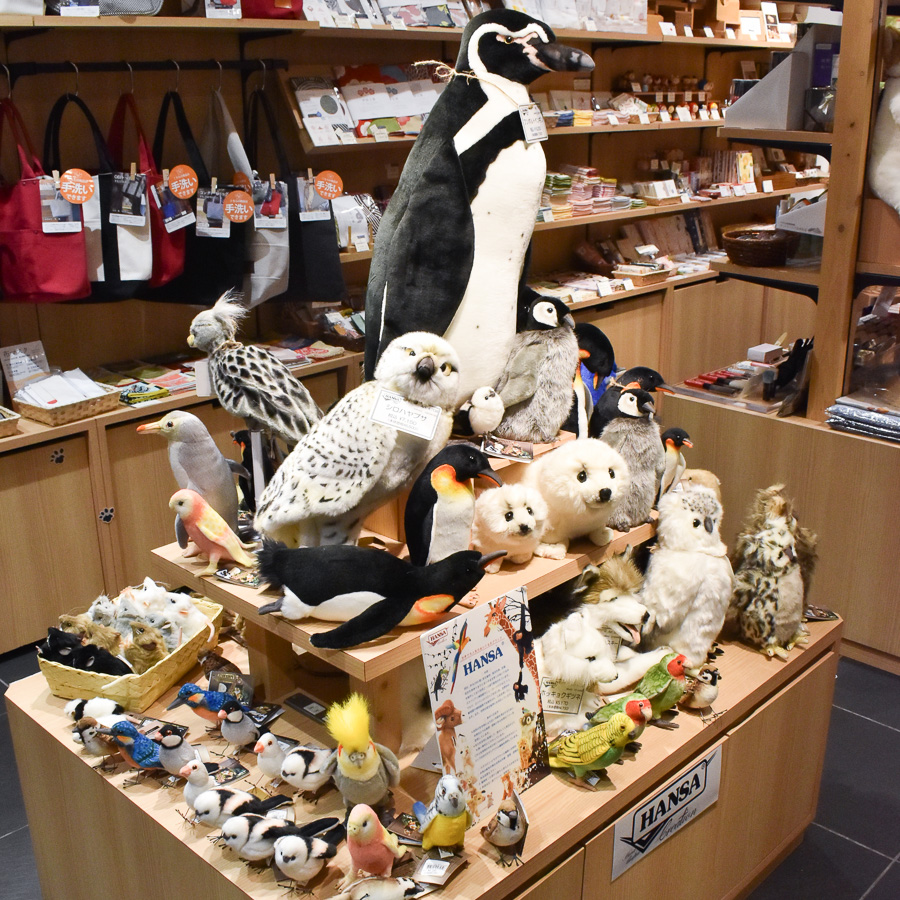 お知らせ詳細 | HANSA