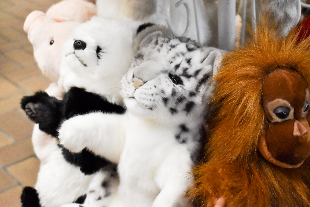 お知らせ詳細 | HANSA