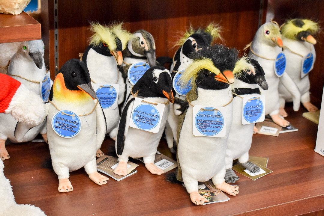 お知らせ詳細 | HANSA