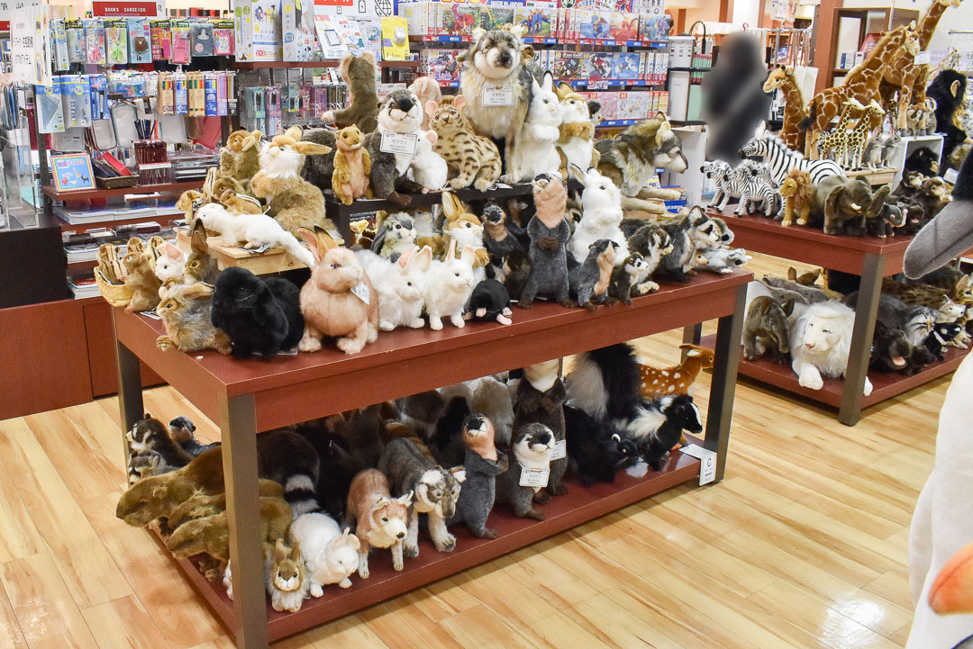 お知らせ詳細 | HANSA