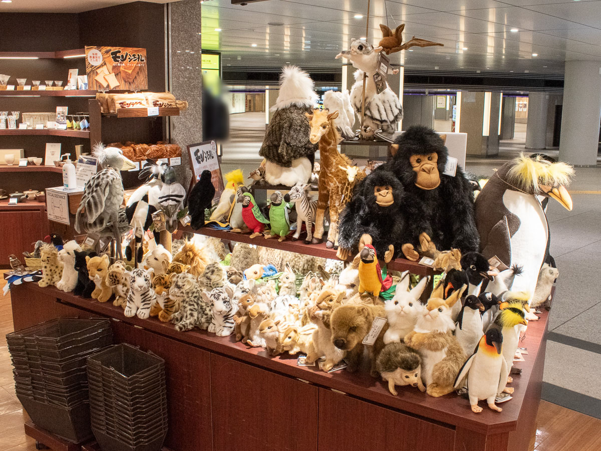 お知らせ詳細 Hansa