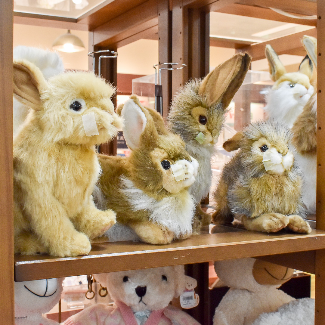 お知らせ詳細 | HANSA