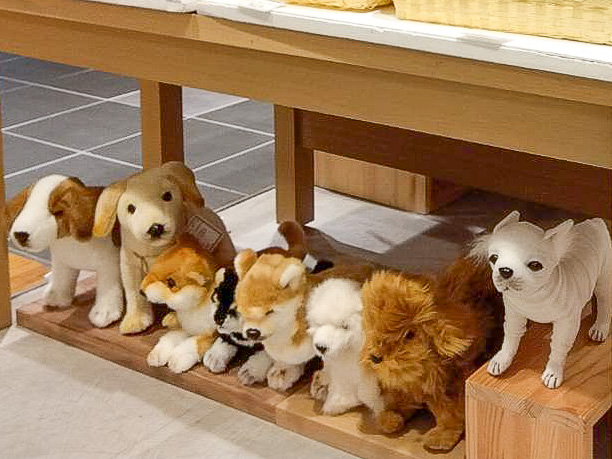 お知らせ詳細 | HANSA