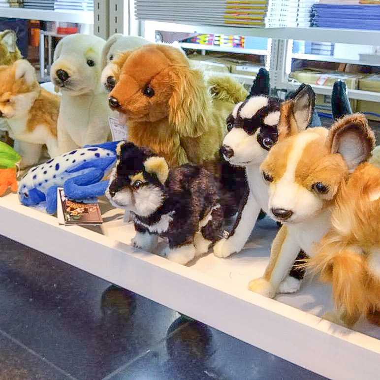 お知らせ詳細 | HANSA