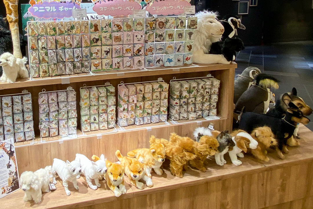 お知らせ詳細 | HANSA