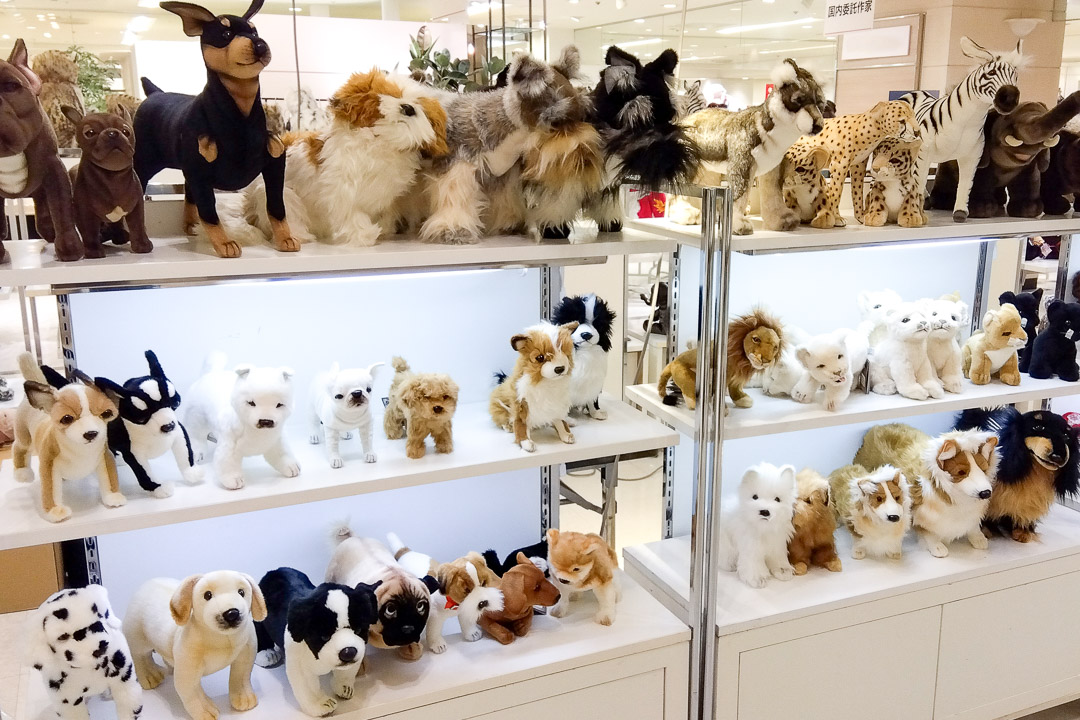 お知らせ詳細 | HANSA