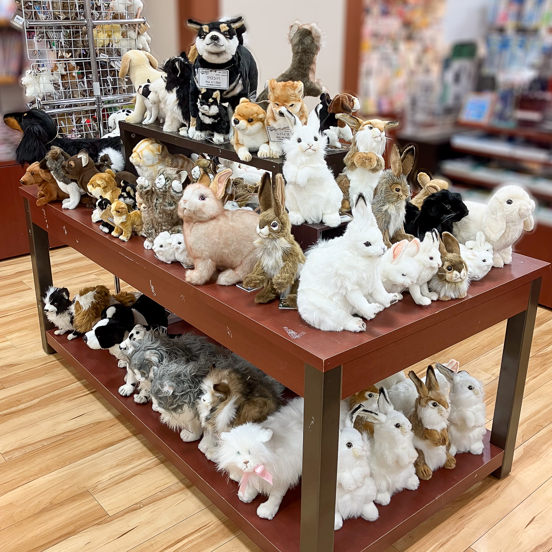 お知らせ詳細 | HANSA