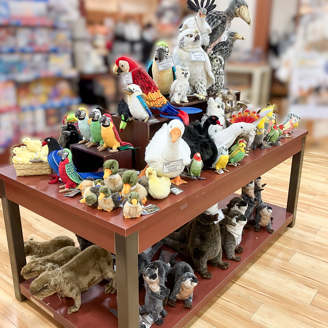 お知らせ詳細 | HANSA