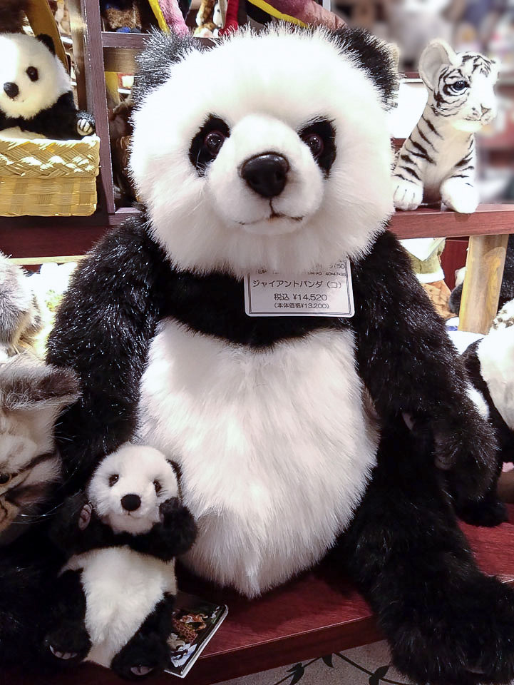 お知らせ詳細 | HANSA