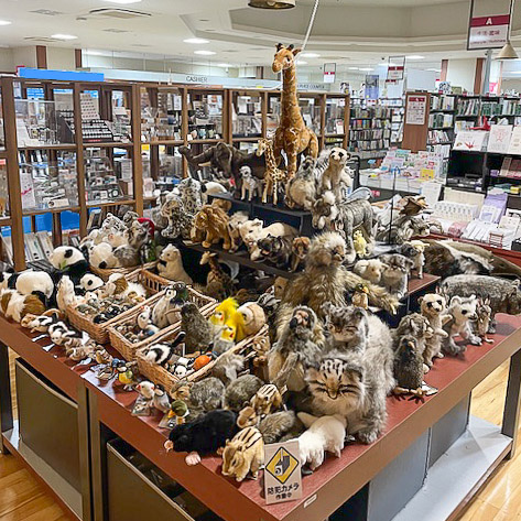 お知らせ詳細 | HANSA