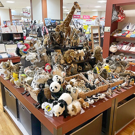 お知らせ詳細 | HANSA