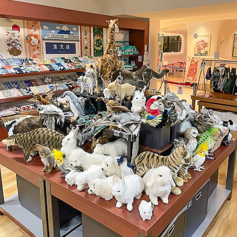 お知らせ詳細 | HANSA