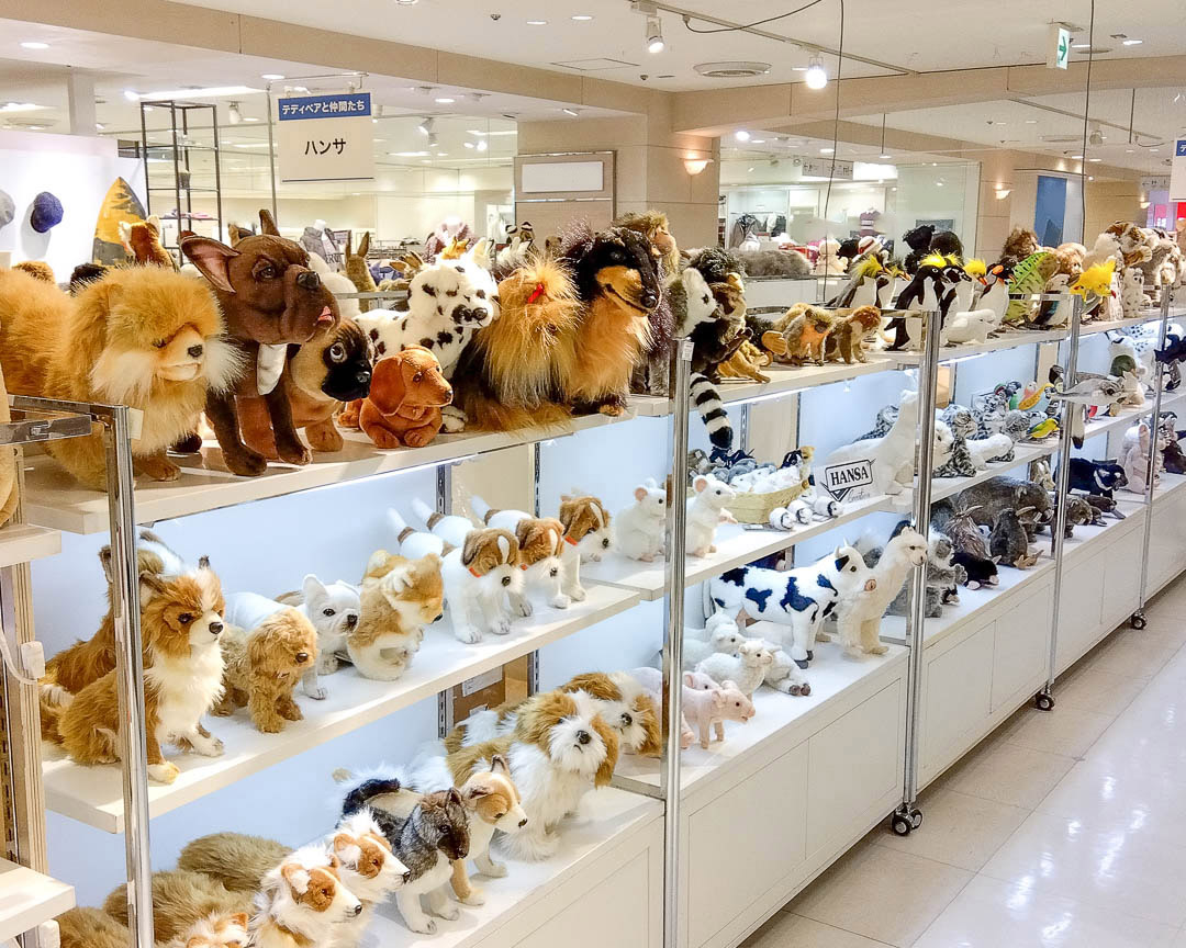 お知らせ詳細 | HANSA